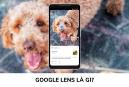 Google Lens là gì? Tìm hiểu cách sử dụng Google Lens với Google Photo