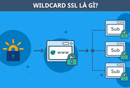 Wildcard SSL là gì? Tại sao nên sử dụng Wildcard SSL?