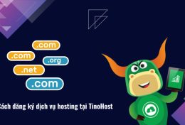 Hướng dẫn cách đăng ký dịch vụ hosting tại TinoHost