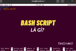 Bash Script là gì? Vì sao Bash Script lại quan trọng trong lĩnh vực lập trình?