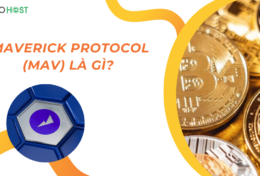 Maverick Protocol (MAV) là gì? Giải pháp AMM đột phá giúp tối ưu hóa lợi nhuận cho nhà đầu tư DeFi