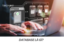 Database là gì? Vai trò và tầm quan trọng của database