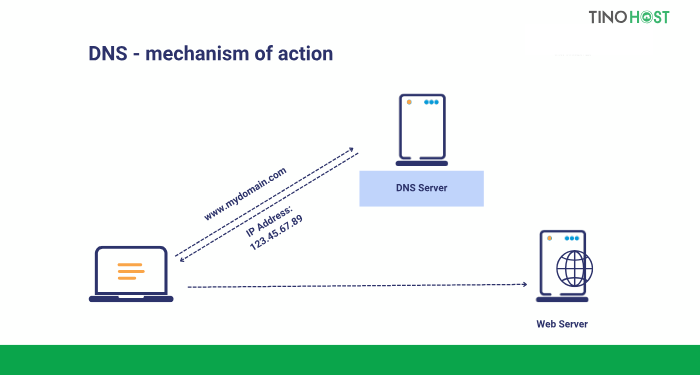 nguyen-tac-hoat-dong-cua-dns