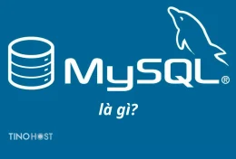 MySQL là gì? Tầm quan trọng của MySQL server