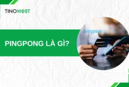 PingPong là gì? Hướng dẫn đăng ký tài khoản PingPong và rút tiền về Việt Nam 2024