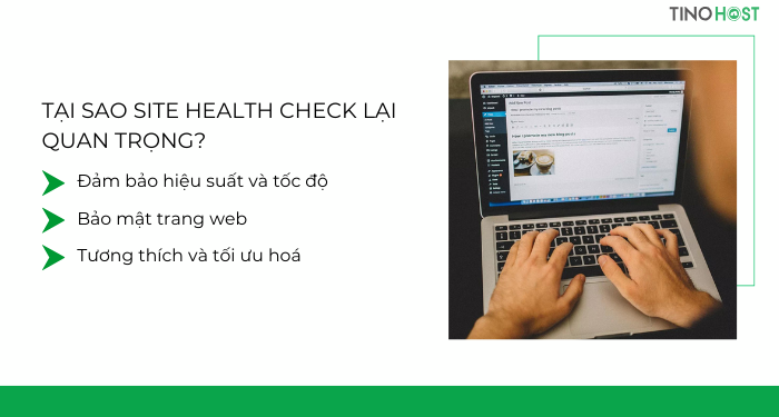 dam-bao-hieu-suat-va-toc-do-voi-site-health-check