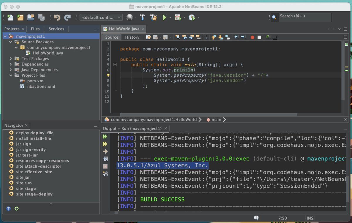 netbeans-la-gi