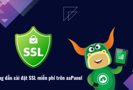 Hướng dẫn cách cài đặt SSL miễn phí trên aaPanel