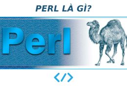 Perl là gì? Vì sao nên sử dụng Perl khi thiết kế website?