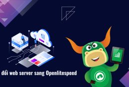 Hướng dẫn cách đổi web server sang Openlitespeed