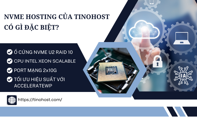 dich-vu-nvme-web-hosting-cua-tinohost-co-gi-dac-biet