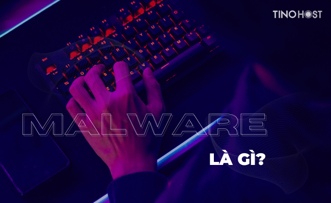 Malware-la-gi