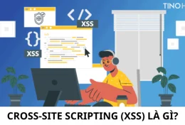 Cross-Site Scripting (XSS) là gì? Nguyên nhân và cách phòng tránh tấn công XSS