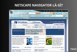 Netscape Navigator là gì? Thời huy hoàng của một trong những trình duyệt web đầu tiên trên thế giới