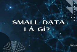 Small Data là gì? Sức mạnh tiềm ẩn của dữ liệu “nhỏ mà có võ”