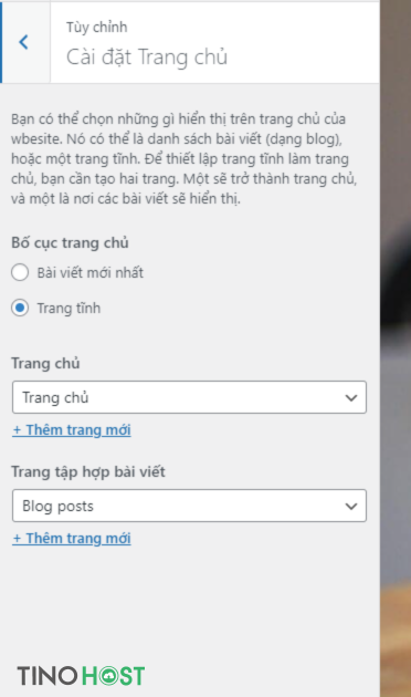 cach-tuy-bien-trang-chu-wordpress