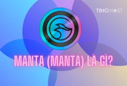 Manta (MANTA) là gì? Đầu tư MANTA coin có cơ hội sinh lời?