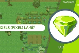 Pixels (PIXEL) là gì? Khám phá tựa game NFT đang “làm mưa làm gió” trong thời gần đây