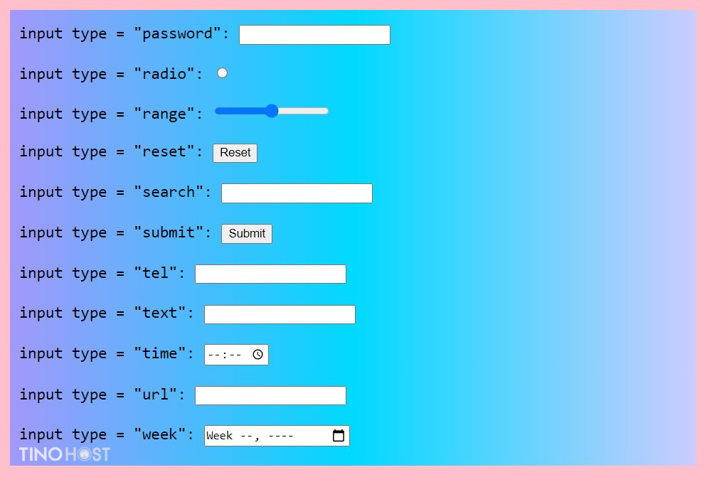 cac-thuoc-tinh-cua-the-input-trong-html