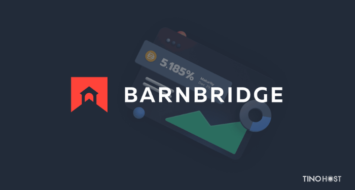 barnbridge-bond-la-gi