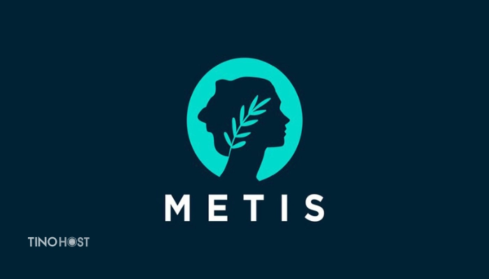 Metis (METIS) là gì? Giải mã tiềm năng của hệ sinh thái Metis DAO 1