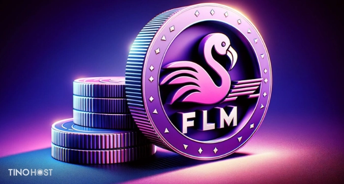 token-flm-la-gi