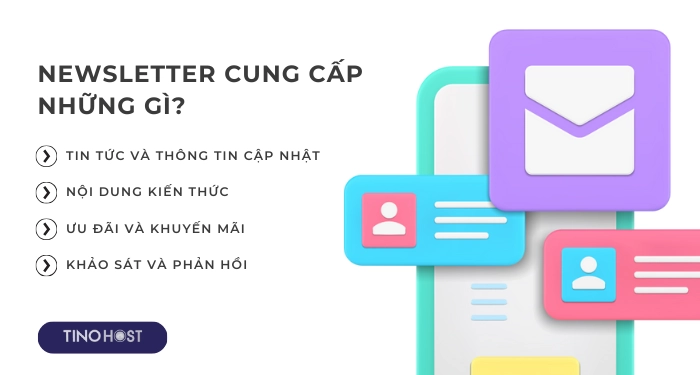 newsletter-co-the-cung-cap-nhung-gi