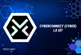 Cyberconnect (CYBER) là gì? Bí mật về nền tảng mạng xã hội cho tương lai