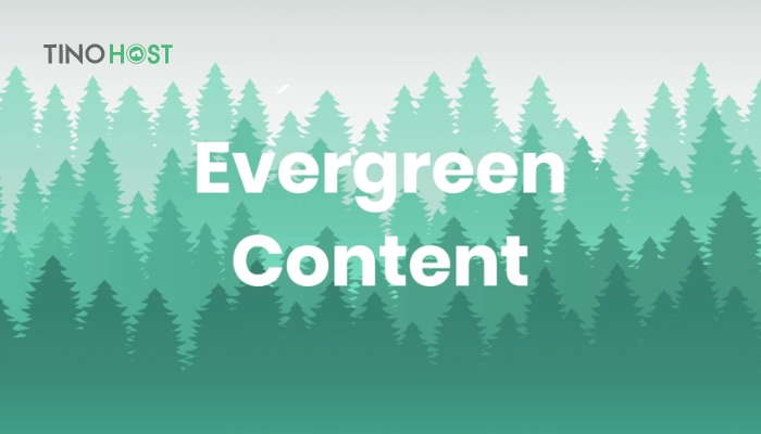 evergreen-content-luon-mang-lai-gia-tri-cho-doc-gia