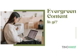 Bí kíp cho nội dung “bất tử”: Giải mã Evergreen Content là gì