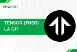 Tensor (TNSR) là gì? Khám phá thị trường NFT đổi mới trên Solana