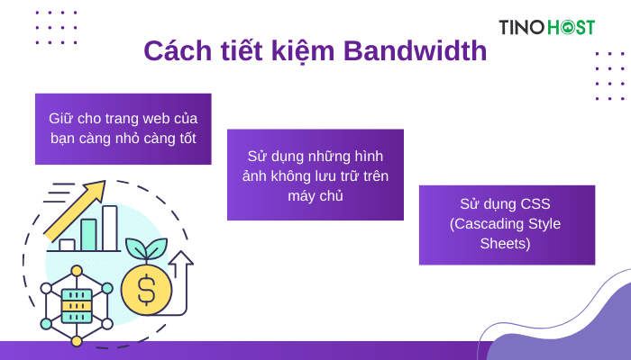 Bandwidth là gì? Khám phá bí ẩn về "dòng chảy" trên Internet 1