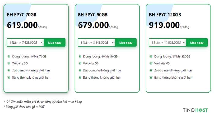 Business Hosting EPYC là gì? Hosting cấu hình cao cho doanh nghiệp lớn? 1