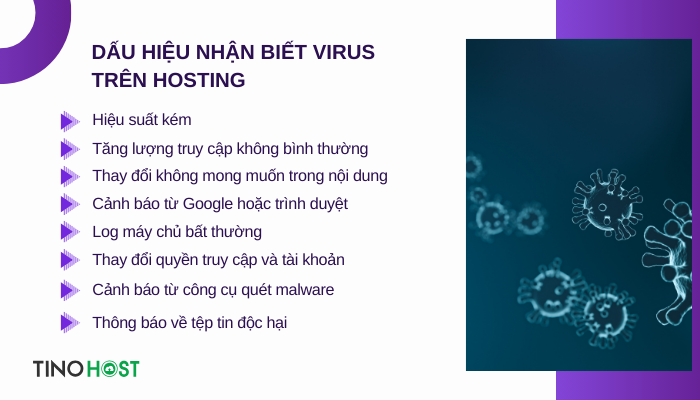dau-hieu-nhan-biet-virus-tren-hosting