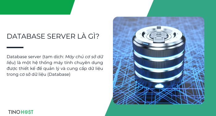 database-server-la-gi