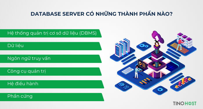 database-server-co-nhung-thanh-phan-nao