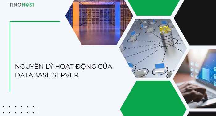 nguyen-ly-hoat-dong-cua-database-server