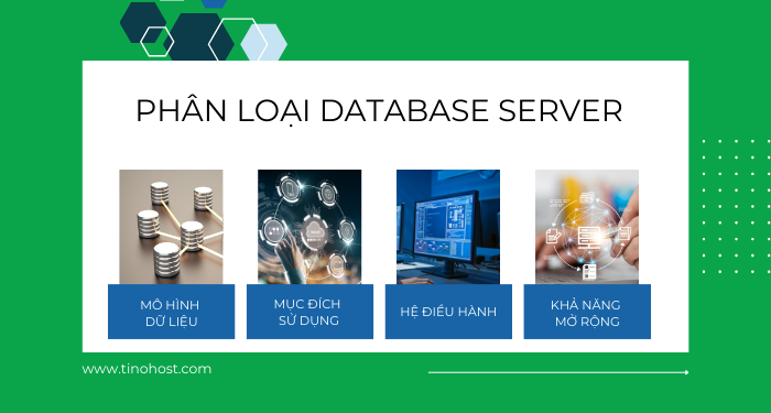 phan-loai-database-server