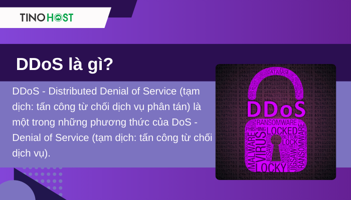 DDoS là gì? Các kiểu tấn công DDoS thường gặp hiện nay 1