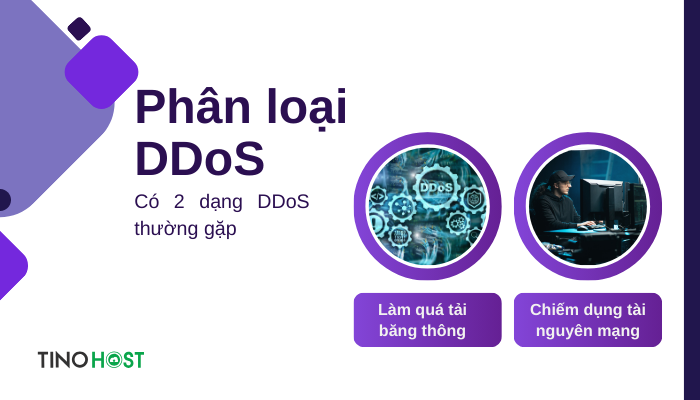 DDoS là gì? Các kiểu tấn công DDoS thường gặp hiện nay 2