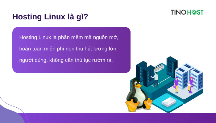 dinh-nghia-hosting-linux