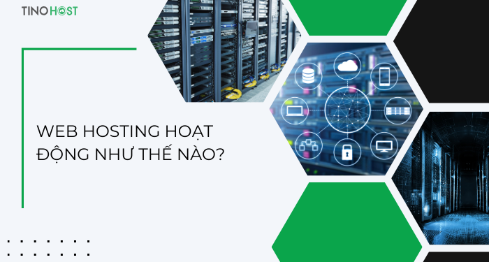 web-hosting-hoat-dong-nhu-the-nao