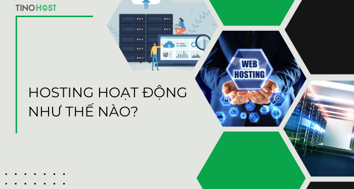 hosting-hoat-dong-nhu-the-nao