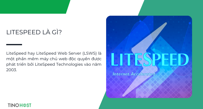 litespeed-la-dich-vu-web-server