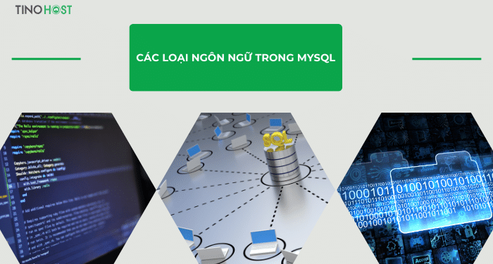 cac-loai-ngon-ngu-trong-mysql