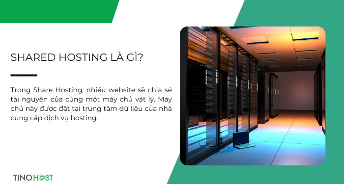 trong-share-hosting-nhieu-website-se-chia-se-tai-nguyen-cua-cung-mot-may-chu-vat-ly