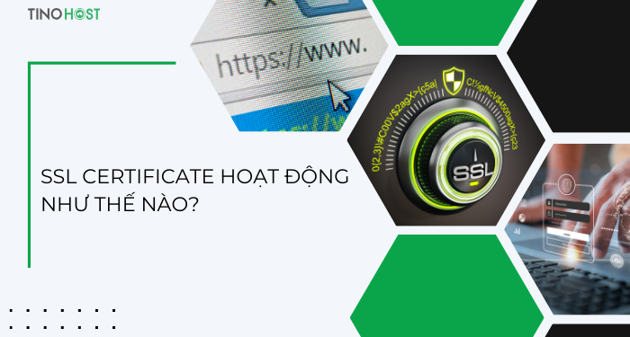 ssl-certificate-hoat-dong-nhu-the-nao?