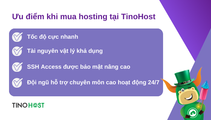 uu-diem-khi-mua-hosting-tai-tinohost