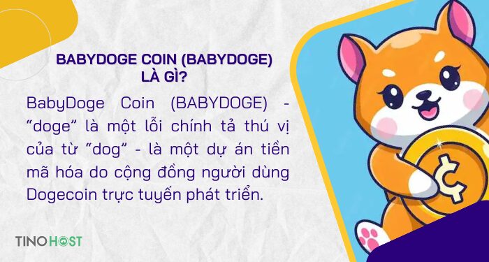 khai-niem-babydoge-coin