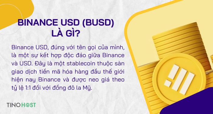 Binance USD (BUSD) là gì? Tìm hiểu thông tin chi tiết về dự án Binance USD 1